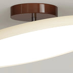 Tilting disc ceiling light, close-up of the mount