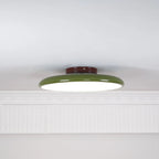 Tilting disc ceiling light, in green