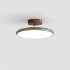 Tilting disc ceiling light, in green
