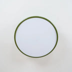 Tilting disc ceiling light, in green