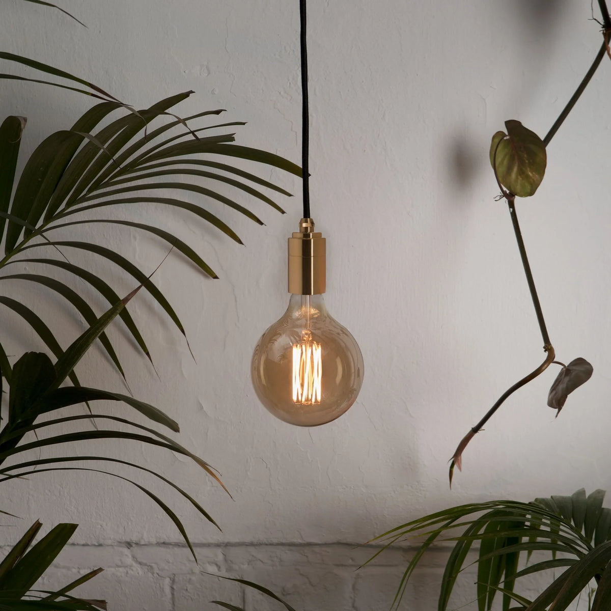 Amber filament globe bulb pendant, lit among plants