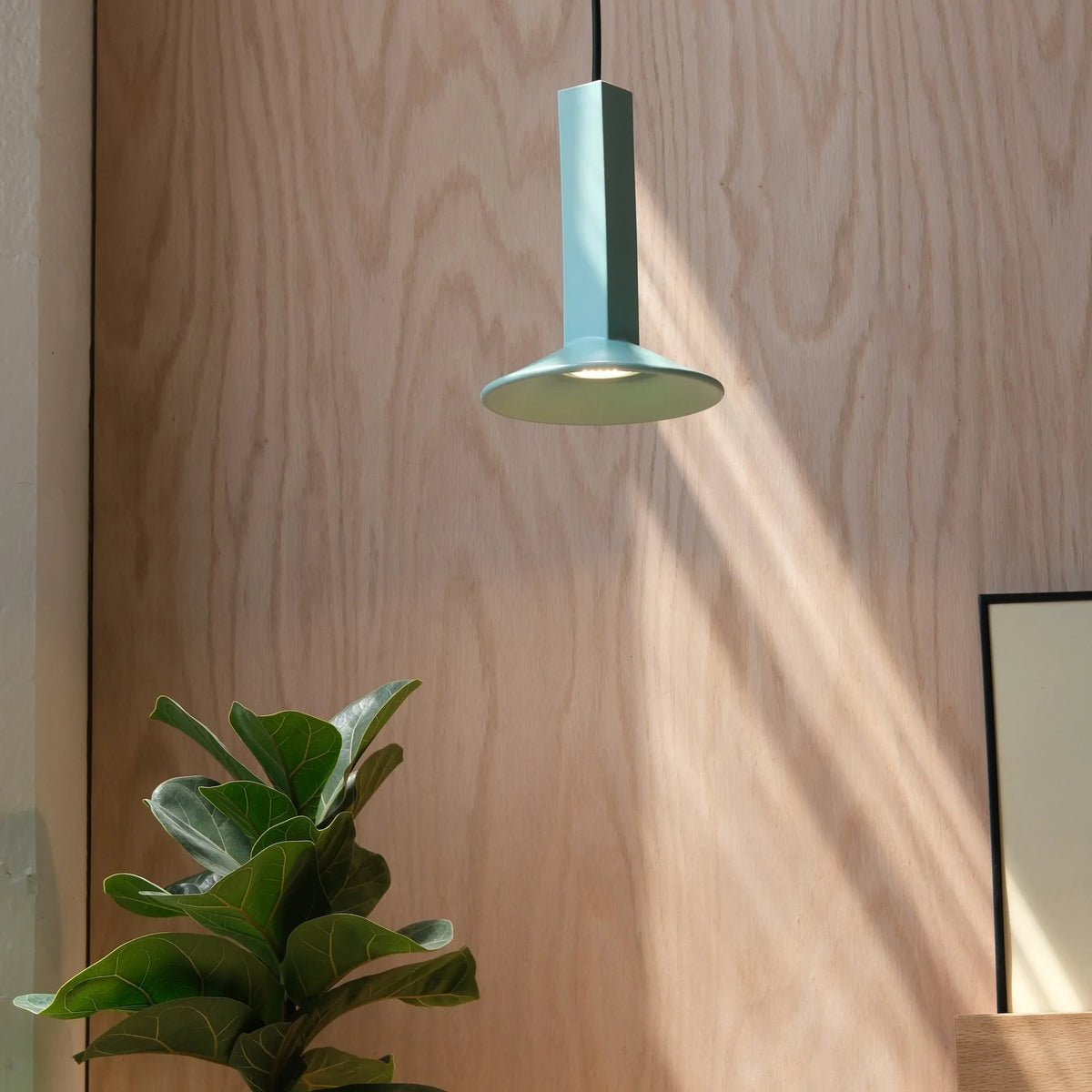 Focused Downlight