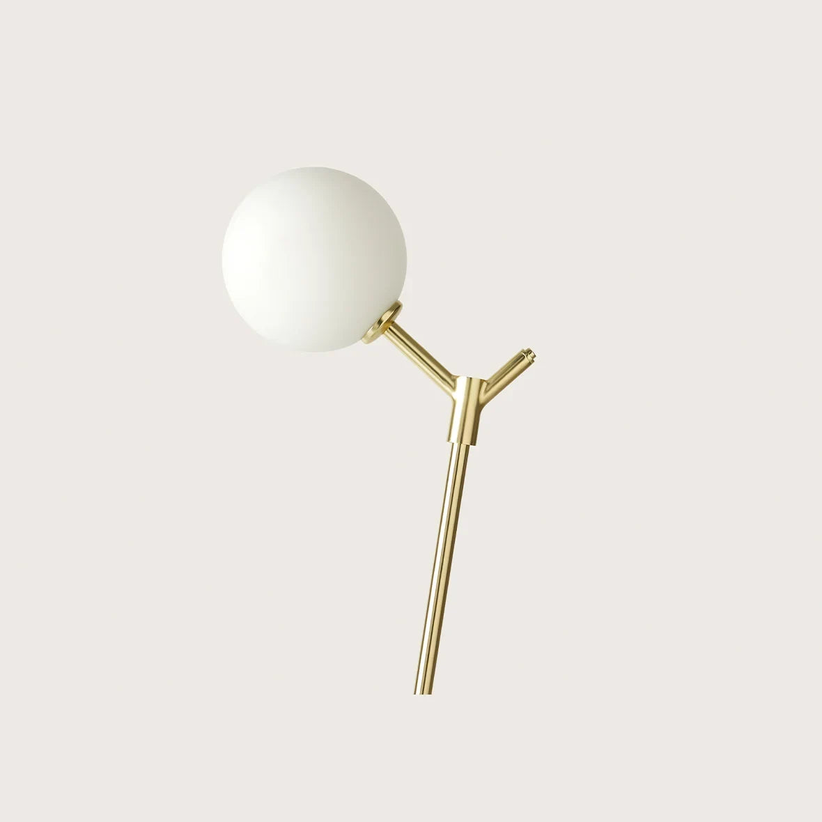 Branch-Like Stem