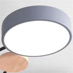Branched LED ceiling light