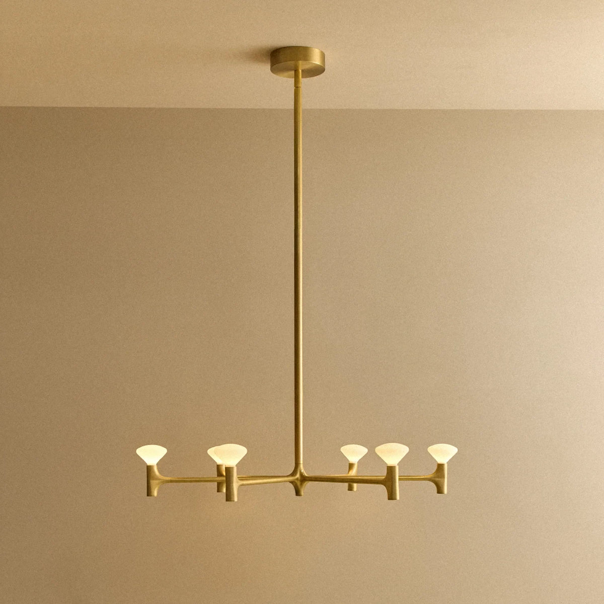 Branching brass chandelier, lit, medium