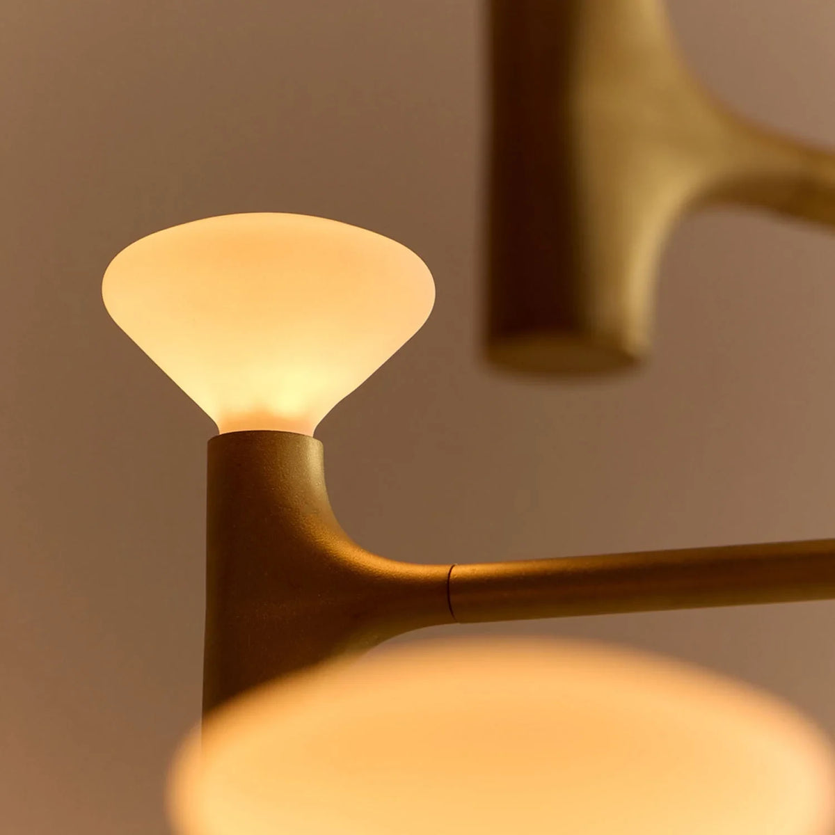 Branching brass chandelier, detail of a brass arm and bulb