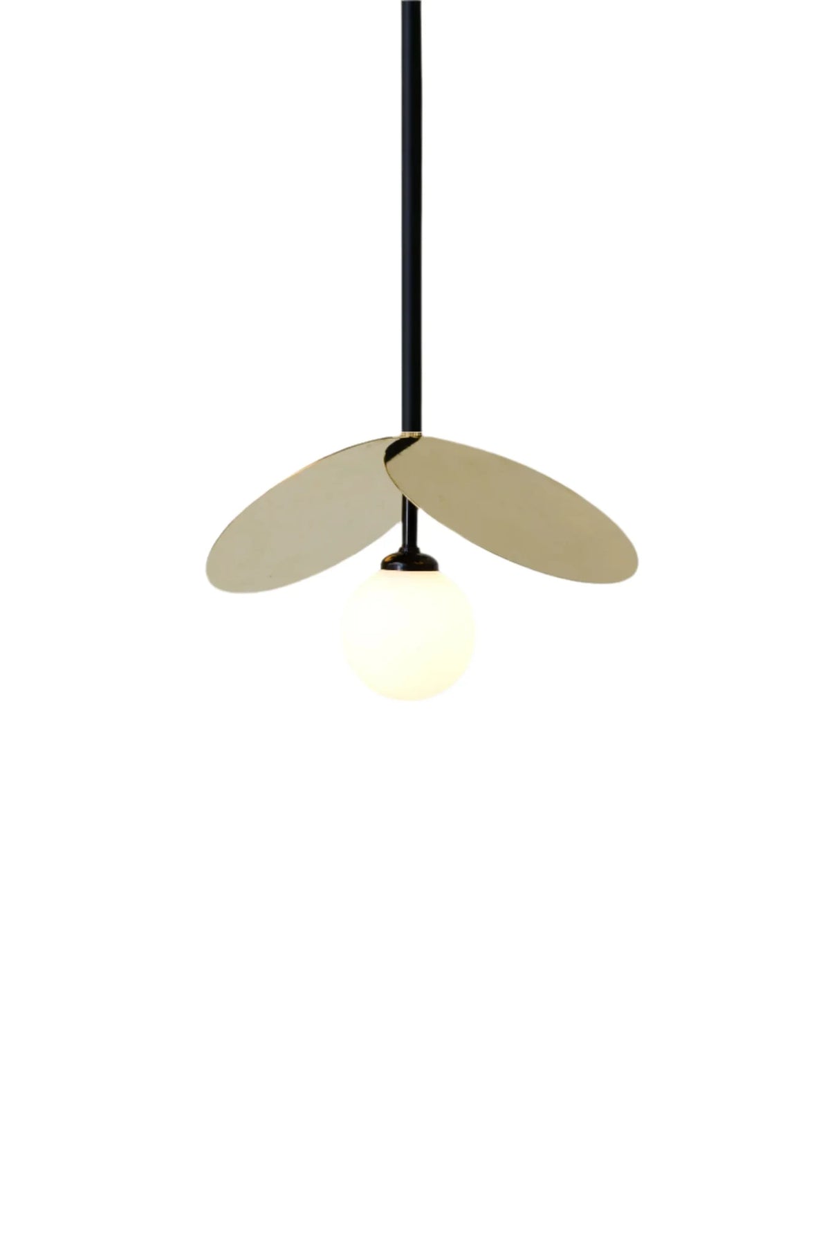 Brass disc globe pendant with fixed metal drop, black, cut-out view in black with brass discs
