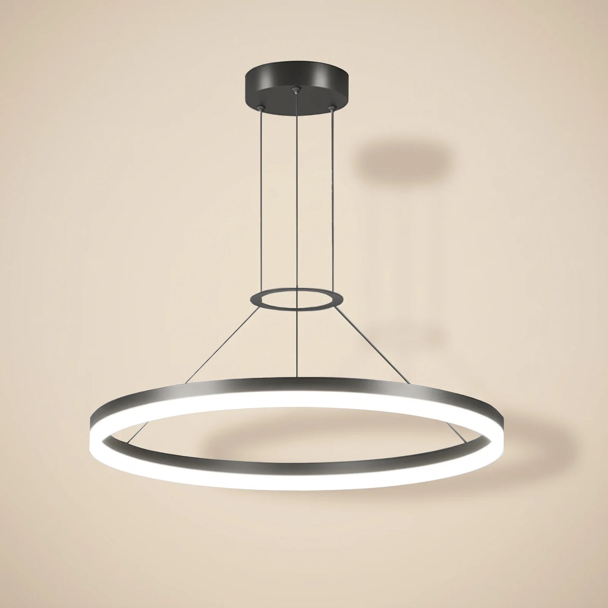 Circular LED ring pendant light