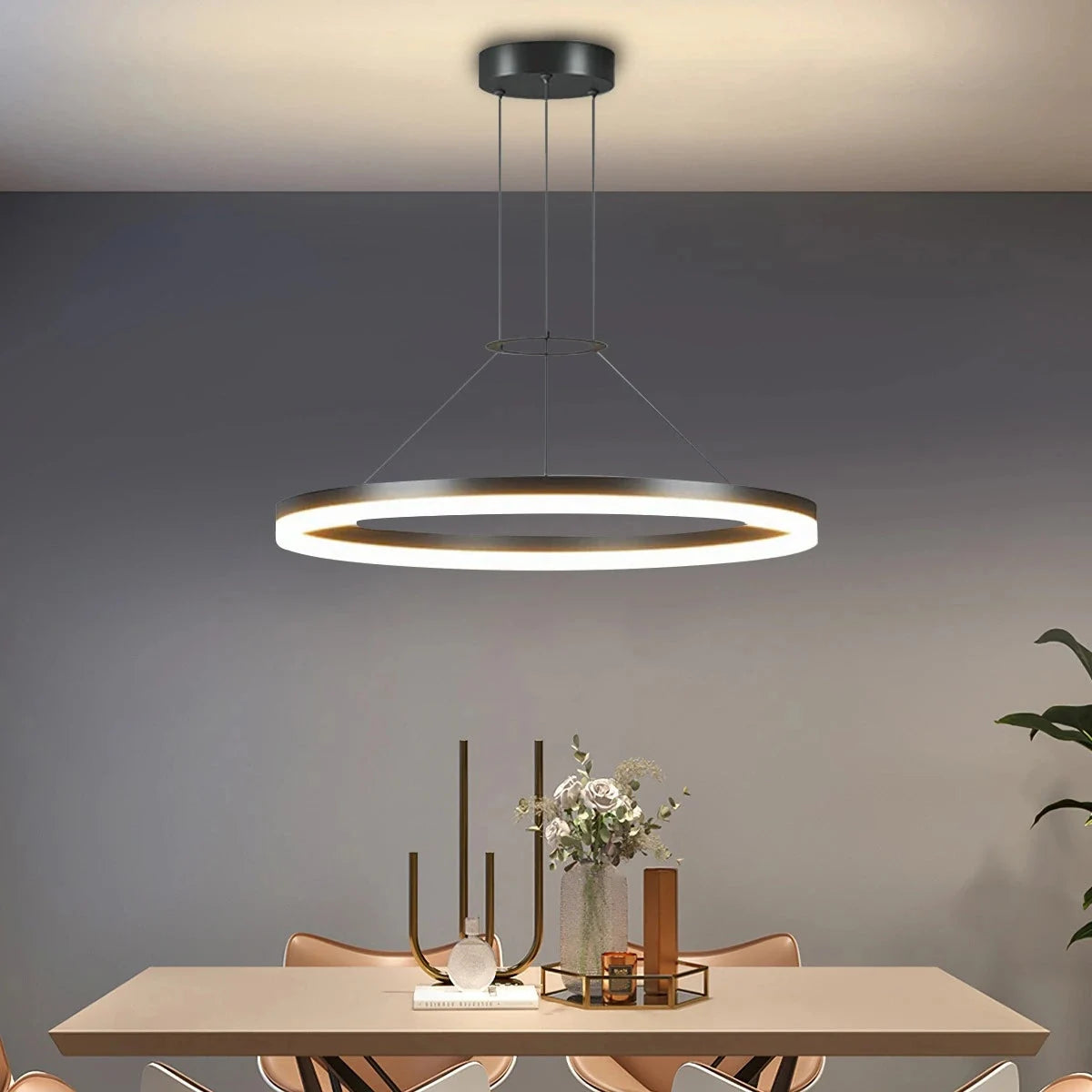 Circular LED ring pendant light
