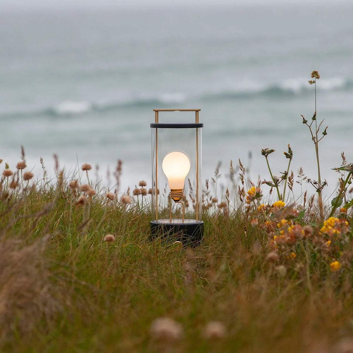 Cordless lantern lamp, black finish, among grasses by the sea