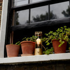 Cordless lantern lamp, solid brass, on a windowsill among plants