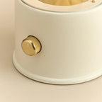 Cordless lantern lamp, white finish, close-up of the brass control knob