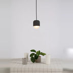 Dark concrete and glass mini pendant, above a table with a plant