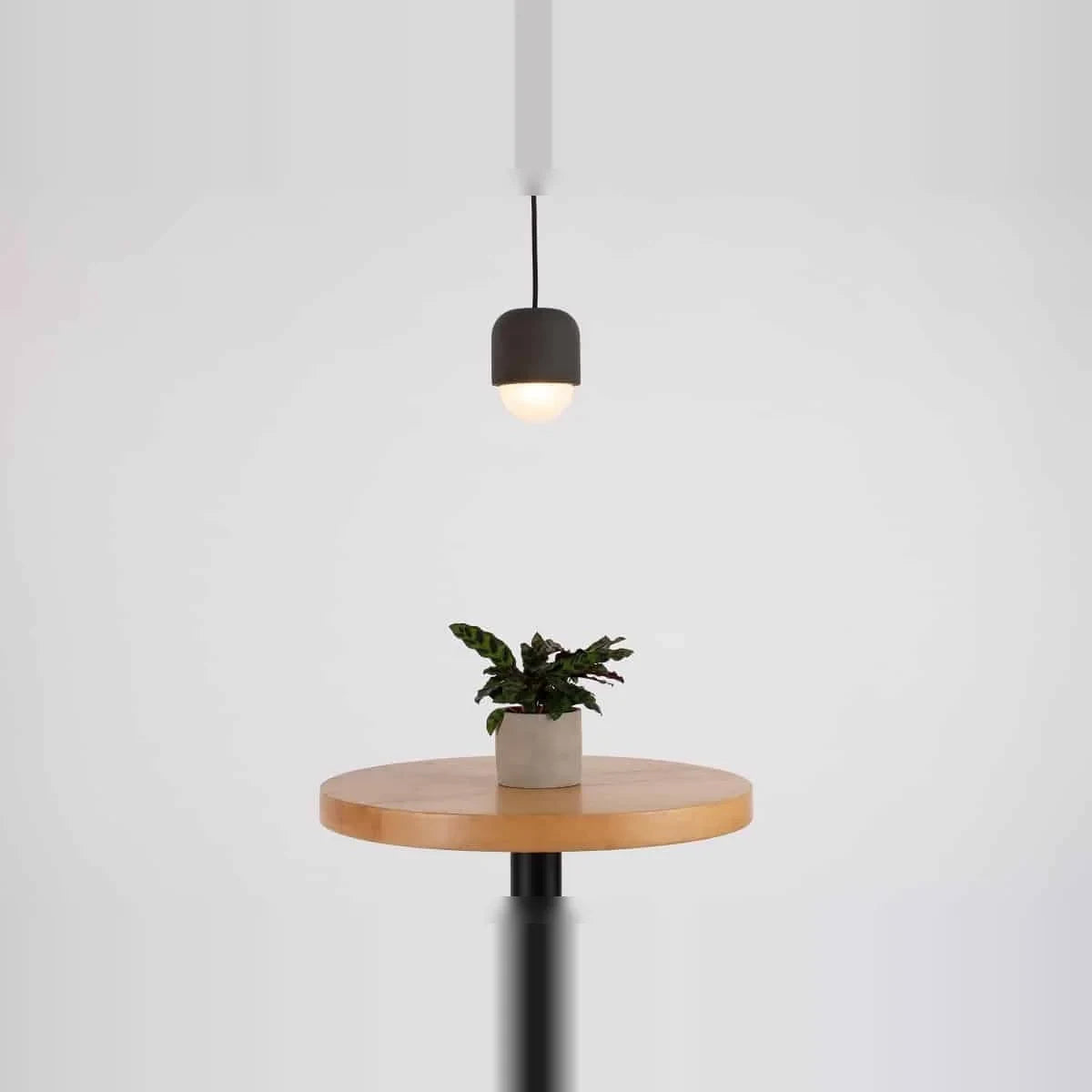 Dark concrete and glass mini pendant, above a side table, lit