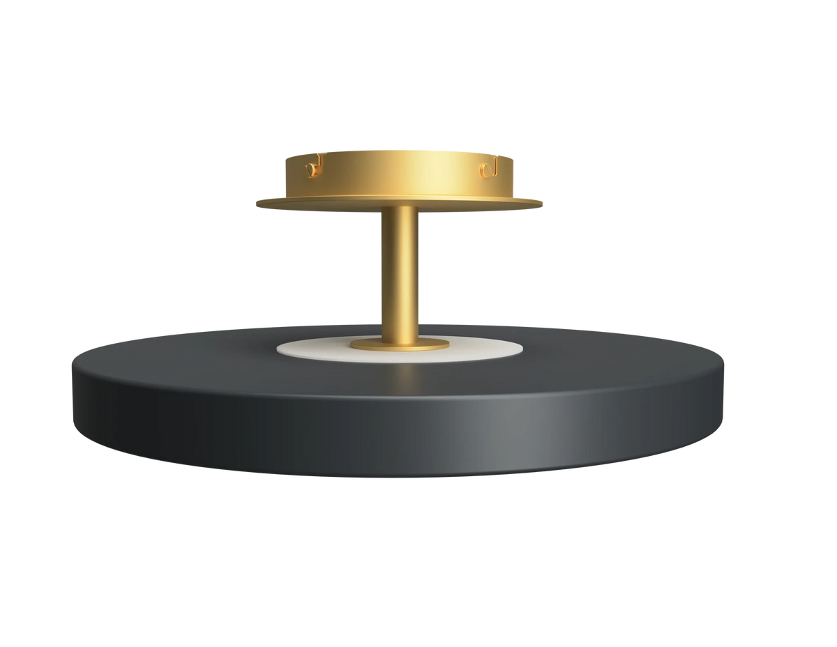 Disc LED ceiling light with brass stem, in anthracite grey