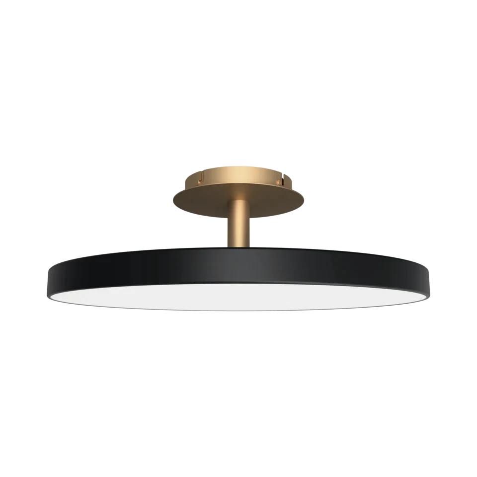Disc LED ceiling light with brass stem, in anthracite grey