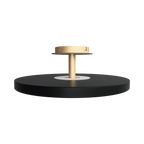 Disc LED ceiling light with brass stem, in anthracite grey