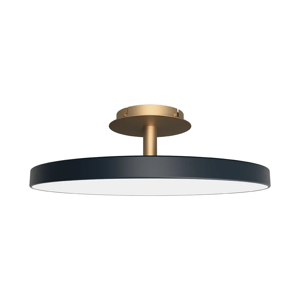 Disc LED ceiling light with brass stem, in anthracite grey
