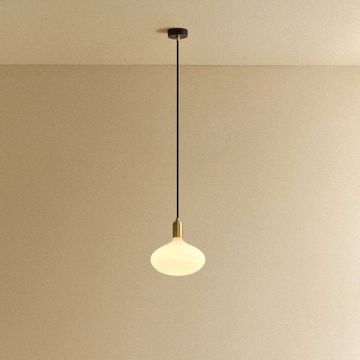 Large opal oval bulb pendant, lit against a plain wall