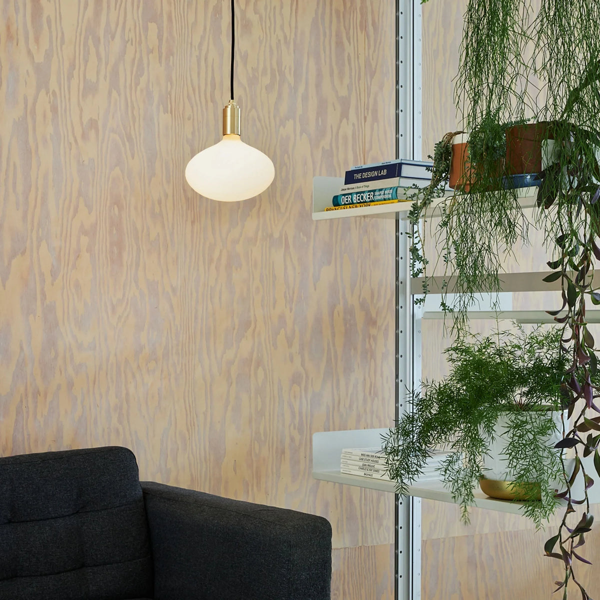 Large opal oval bulb pendant, by a window with plants