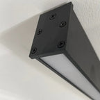 Linear black LED ceiling light, close-up of the end