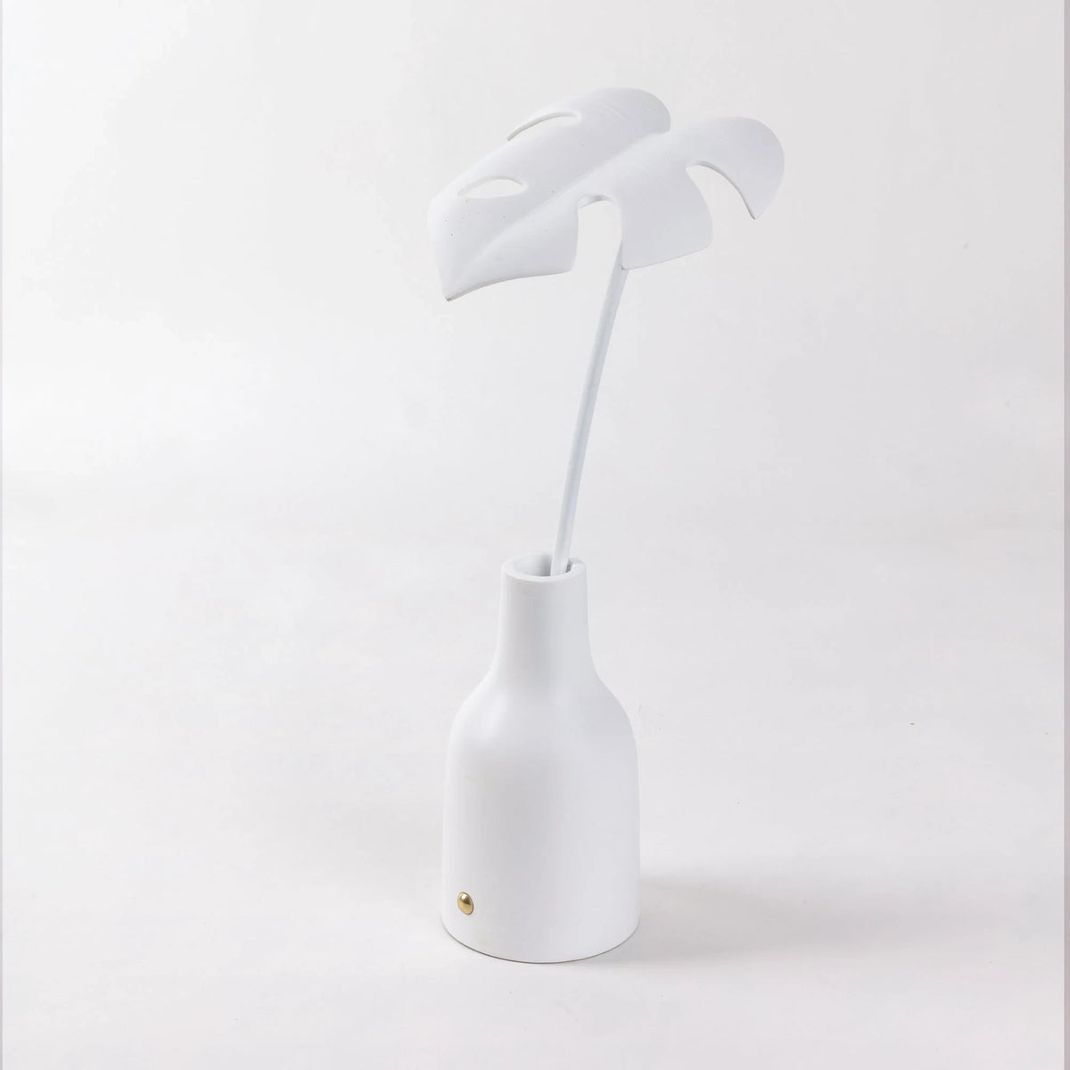 A Leaf in a Vase