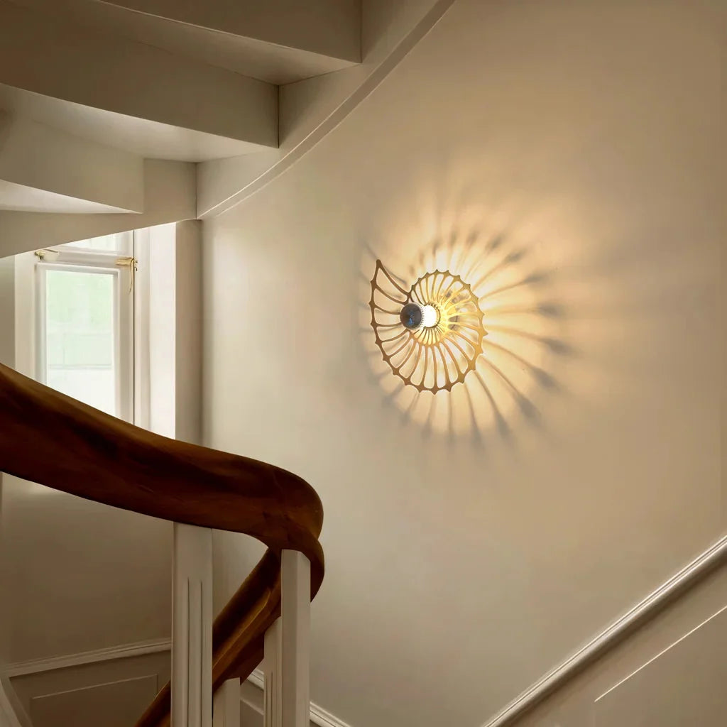 Nautilus shell wall light