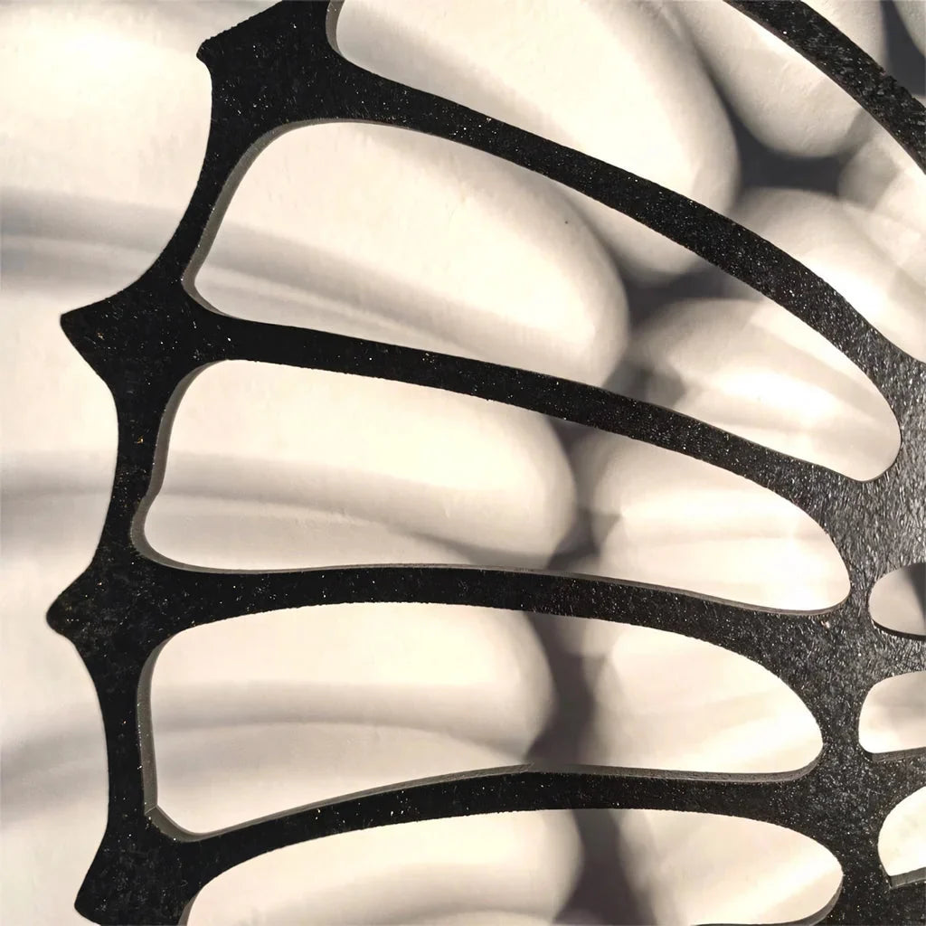 Nautilus shell wall light
