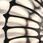 Nautilus shell wall light