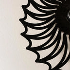 Nautilus shell wall light