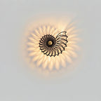 Nautilus shell wall light
