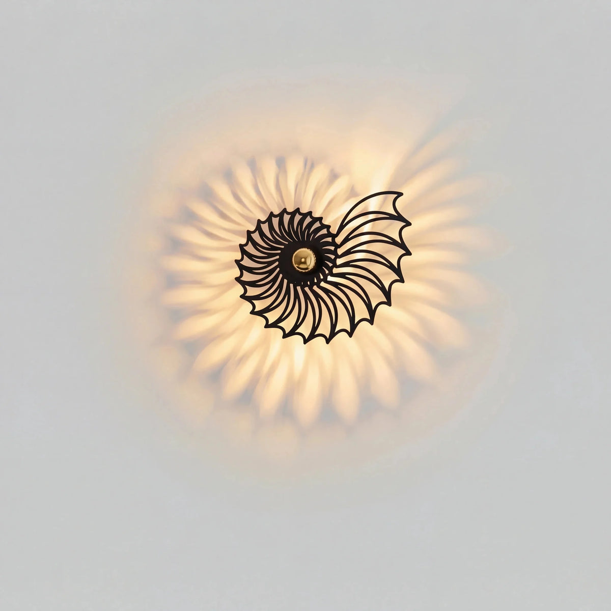 Nautilus shell wall light