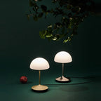 Opal glass dome table lamp with dimmer, two lamps on a dark green background