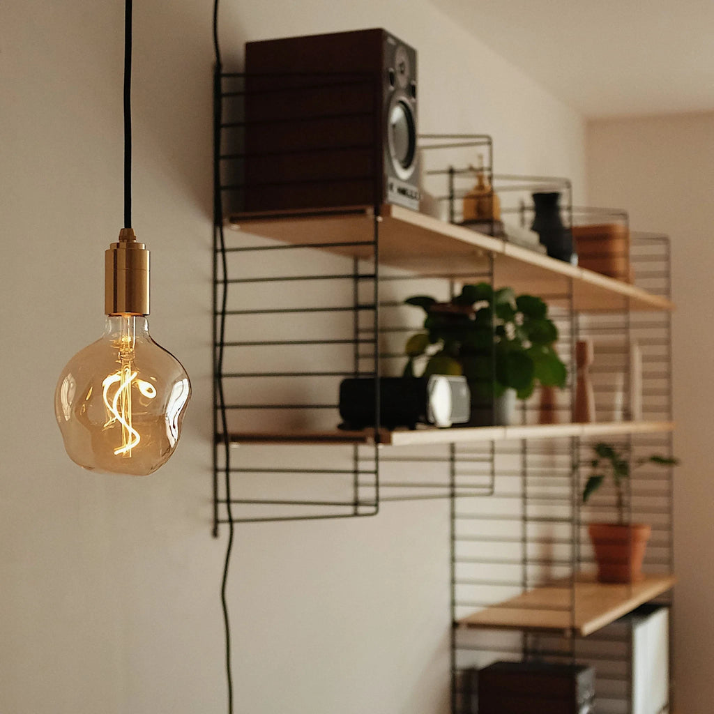 Plug-in pendant cable set with dimmer, graphite, hung with a decorative bulb in front of shelves (not included)