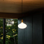 Plug-in pendant with opal oval bulb, brass, lit in a dark wood room