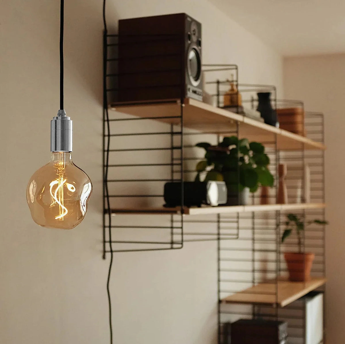 A Glow by the Shelves