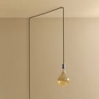 Plug-in pendant with tinted sculptural bulb, stainless steel, unlit