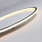 Round LED ring flush ceiling light, close-up