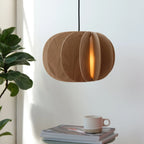 Sculptural white oak pendant, above a side table with a plant