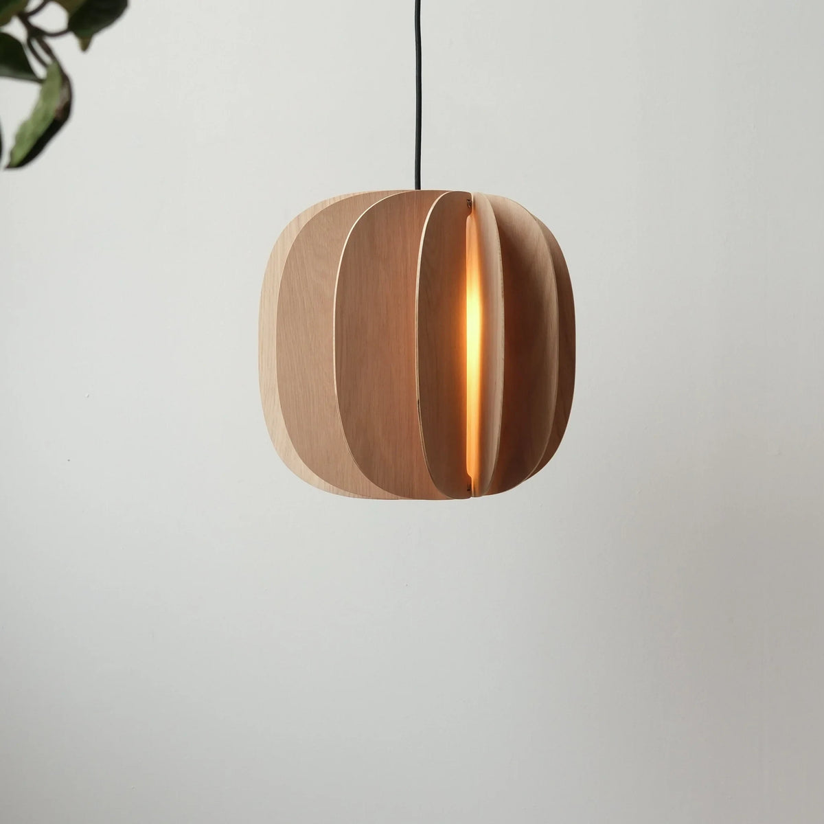 Sculptural white oak pendant, hanging in a bright room
