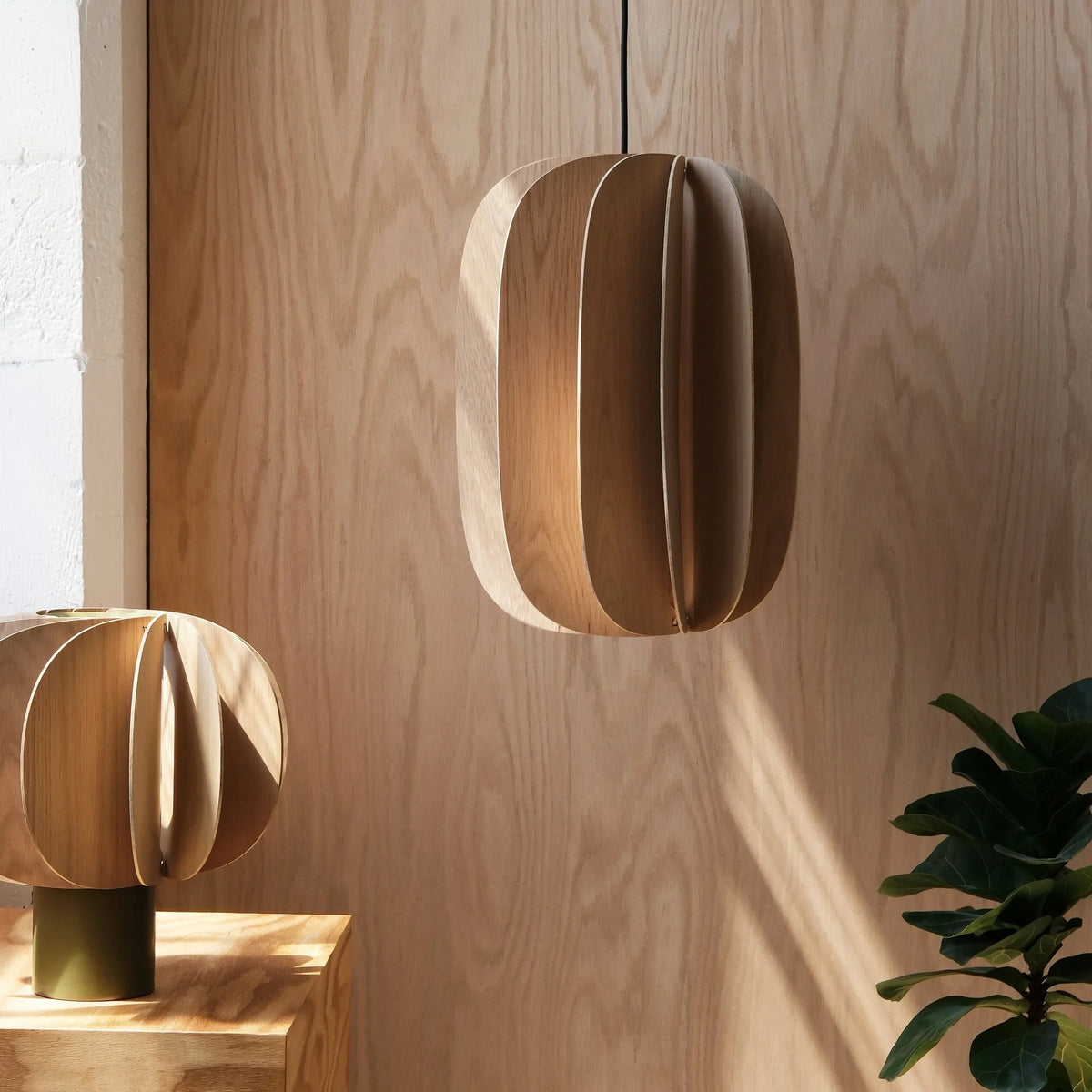 Sculptural white oak pendant, in a wood-panelled room