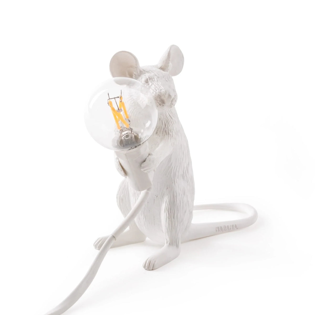 A Mouse with a Light
