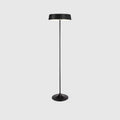 Slim disc LED floor lamp, in black on a plain background