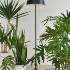 Slim disc LED floor lamp, in black among plants