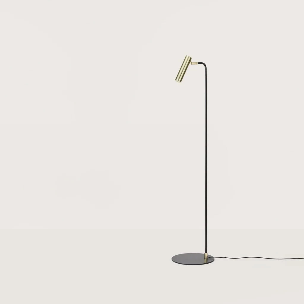 Slim reading floor lamp with small round head, with a matte brass head, on a plain background