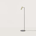 Slim reading floor lamp with small round head, with a matte brass head, on a plain background