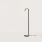 Slim reading floor lamp with small round head, with a matte brass head, on a plain background