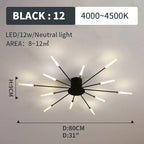 Starburst LED flush ceiling light, size and specification card