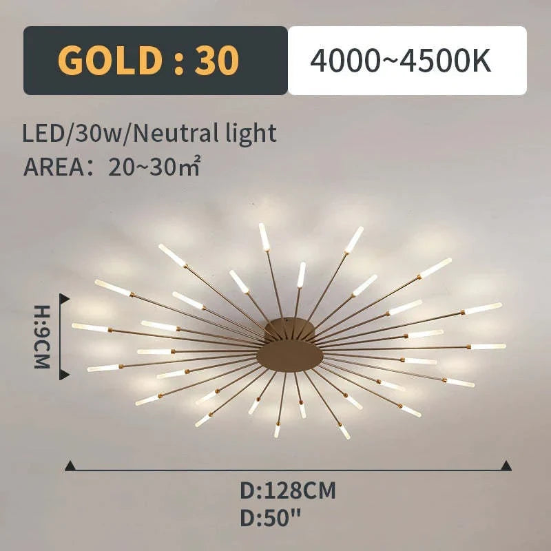 Starburst LED flush ceiling light, size and specification card