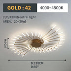 Starburst LED flush ceiling light, size and specification card